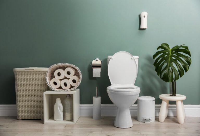 All You Need to Know About the Best Budget Toilet of 2021